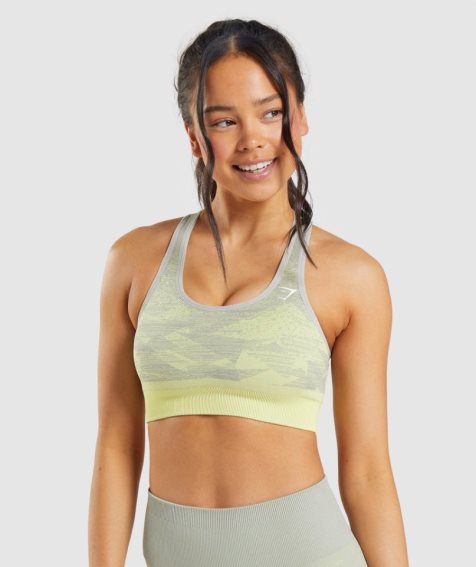 Staniki Sportowe Gymshark Adapt Ombre Seamless Damskie Szare | PL 385BDR